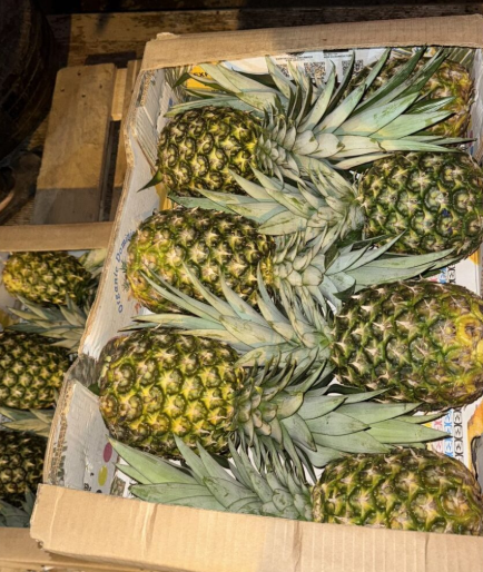 Piñas